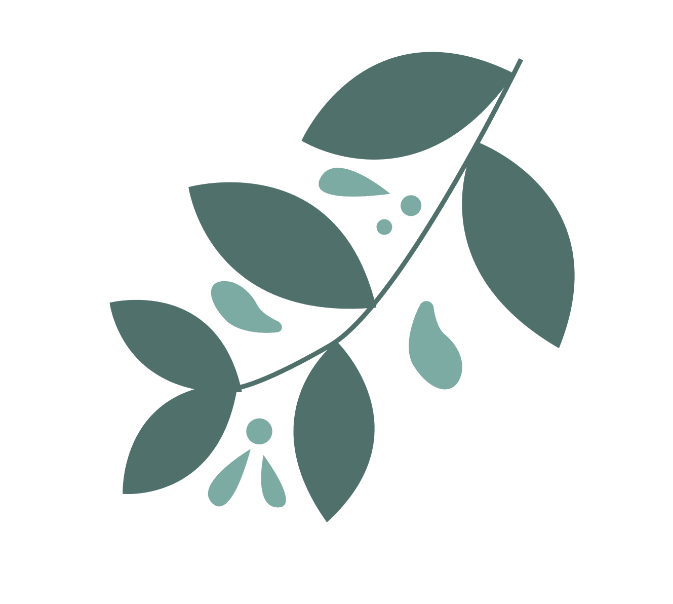 Minimalistinen kuvitus lehtimäisestä oksasta, jossa on viisi vihreää lehteä ja muutama pieni abstrakti muoto vaalealla taustalla.