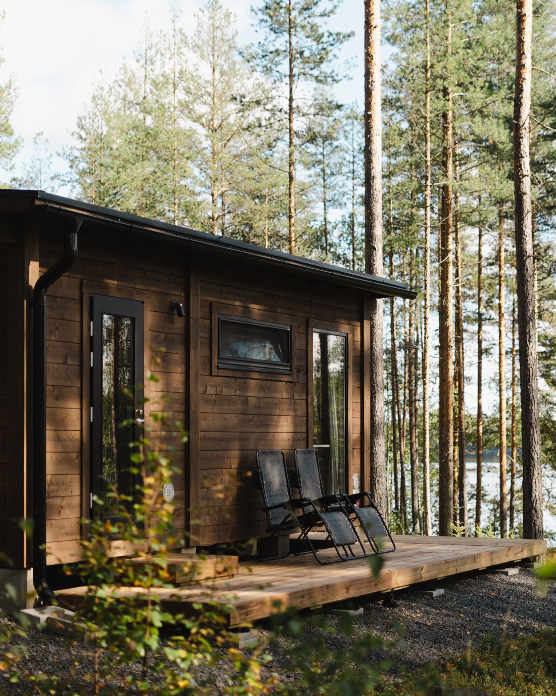 Ehta-aitta männikössä järven rannalla